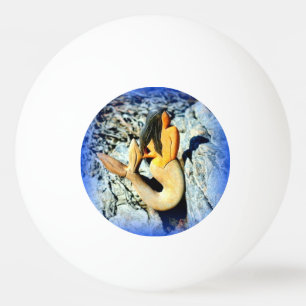 zwarte zeemeermin pingpongballen