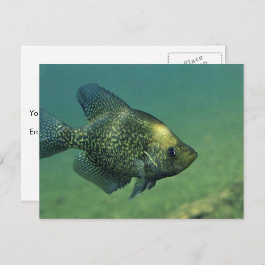 Zwarte zeeplap briefkaart (Voorkant / Achterkant)