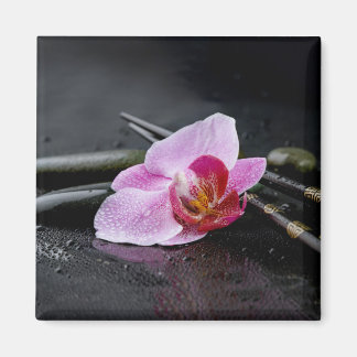 Zwarte zen orchidee magneet