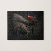 Zwarte zwaan legpuzzel (Horizontaal)