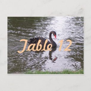 Zwarte Zwaan Tafelnummer
