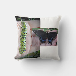 Zwarte zwaluwstaart Caterpillar / vlinder Kussen
