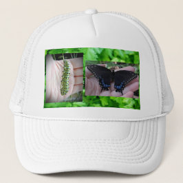 Zwarte zwaluwstaart Caterpillar / vlinder Trucker Pet