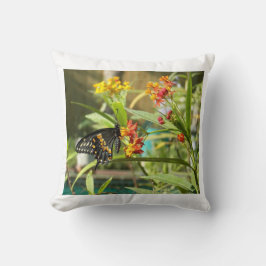 Zwarte zwaluwvlinder #2 kussen