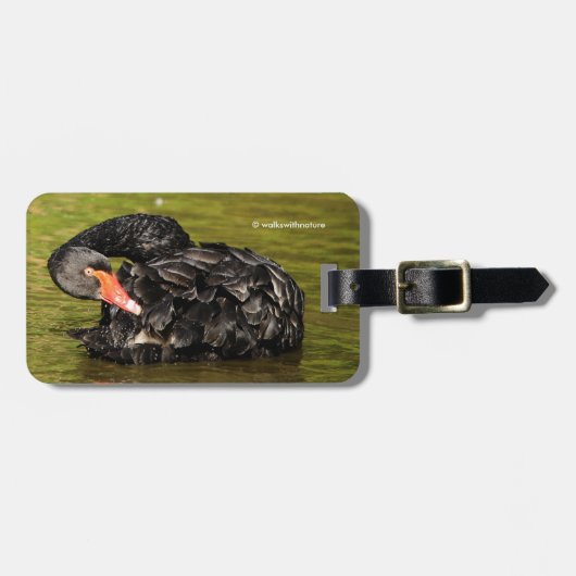 Zwarte Zwan in de Pond Bagagelabel (Voorkant horizontaal)
