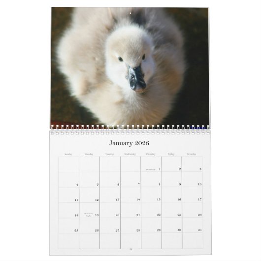 Zwarte Zwand & Cygnets Wall Agenda Kalender (Jan 2026)