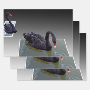 Zwarte zwanen in vijvers, schotel, ontkoppelvellen inpakpapier vel