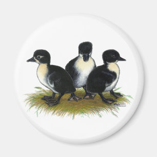 Zwarte Zweedse Eendjes Magneet
