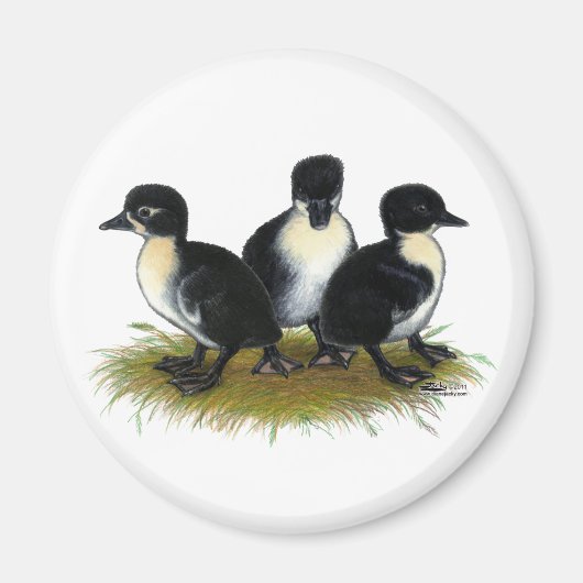 Zwarte Zweedse Eendjes Magneet (Voorkant)