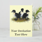 Zwarte Zweedse slangen Kaart (Staand voorkant)