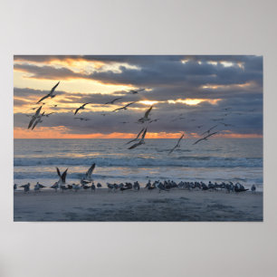 Zwarte zwemmers die op het strand op zonsopgang la poster