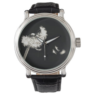 Zwartkaphorloges zwart-wit horloge