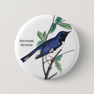 Zwartkeelblauwe Warbler, Audubon, Bird Pin Ronde Button 5,7 Cm