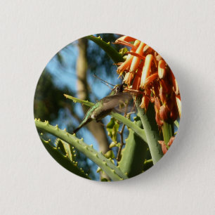 Zwartkeelkolibrie in vlucht ronde button 5,7 cm
