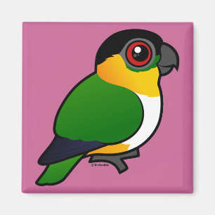 Zwartkoppapegaai Magneet