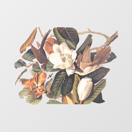 Zwartkopvogel Raamsticker (Vel)