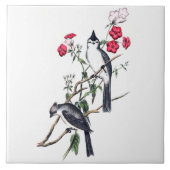 ZWARTKREUKIGE TITMOUSE TEGEL TEGELTJE (Voorkant)