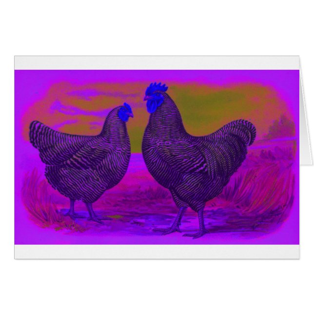 ZwartLight (Voorkant Horizontaal)