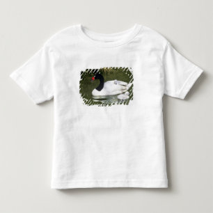 Zwartnekzwaan volwassene en jonge zwanen in het wa kinder shirts