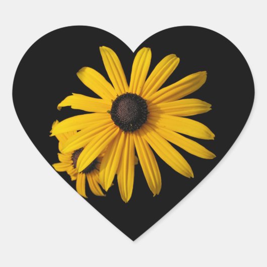 Zwartogen Susans Hart Sticker (Voorkant)