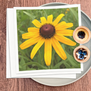 Zwartogige Susan Rudbeckia Bloem Foto Feestje Servet