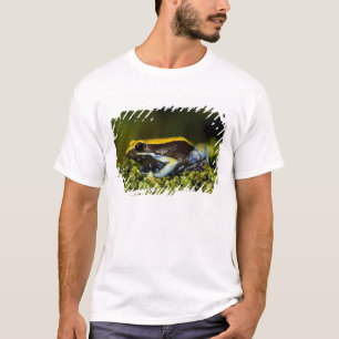 Zwartoor Mantella, Mantella expectata, T-shirt
