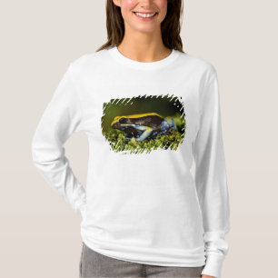 Zwartoor Mantella, Mantella expectata, T-shirt