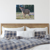 Zwartstaart Ree | Olympic National Park Canvas Afdruk (Insitu (Slaapkamer))