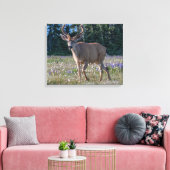 Zwartstaart Ree | Olympic National Park Canvas Afdruk (Insitu (Woonkamer))