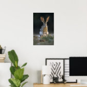 Zwartstaartjackrabbit, Lepus californicus, 2 Poster (Thuiskantoor)