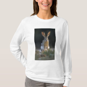 Zwartstaartjasje, Lepus californicus, 2 T-shirt