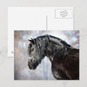 Zwartstaartzwarte horens briefkaart (Voorkant / Achterkant)