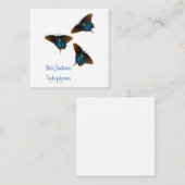 Zwartwitstaartvlinder Notitiekaartje (Voorkant / Achterkant)