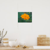 Zwavel Cosmos 01 Poster (Keuken)