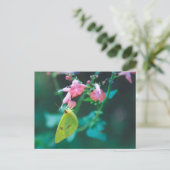 Zwavel in Briefkaart met zout (Staand voorkant)