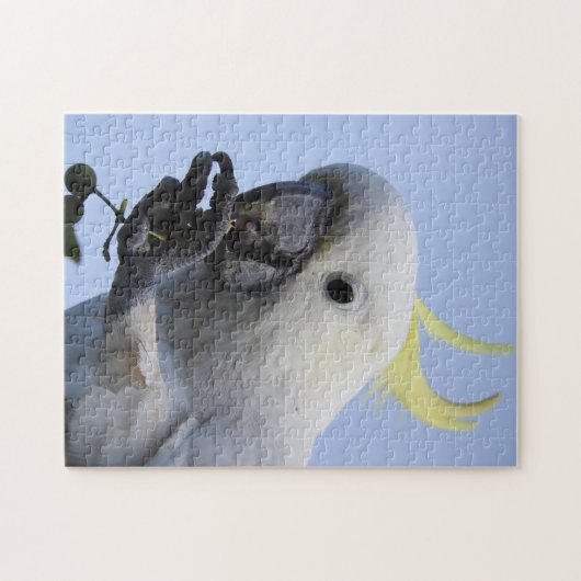 ZwavelCrested Cockato Puzzle Legpuzzel (Horizontaal)