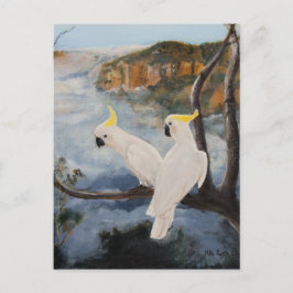 ZwavelCrested Cockatoos in de blauwe bergen' Briefkaart