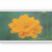 Zwavelkosmos 02 sticker (Voorkant)