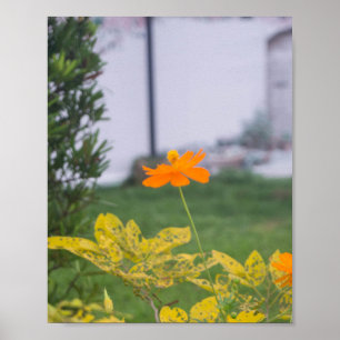 Zwavelkosmos 03 poster