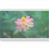 Zwavelkosmos 04 sticker (Voorkant)