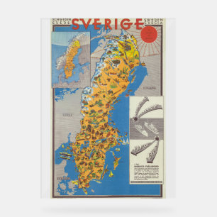 Zweden Kaart Acryl Bord