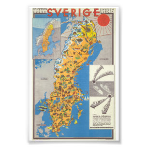 Zweden Kaart Foto Afdruk