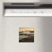 Zweden Magneet (Insitu (Vaatwasser))