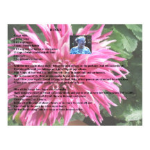 Zweeds Rusks van grootmoeder