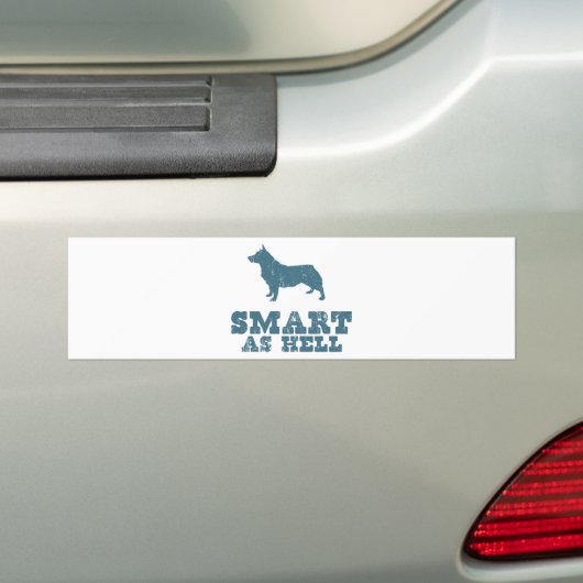 Zweeds Vallhund Bumpersticker (Op auto)