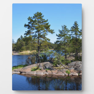 Zweedse landskap fotoplaat