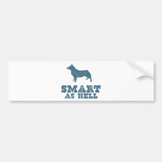 Zweedse Vallhund Bumpersticker (Voorkant)