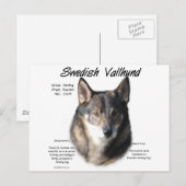 Zweedse Vallhund Geschiedenis Briefkaart (Voorkant / Achterkant)