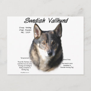 Zweedse Vallhund Geschiedenis Briefkaart