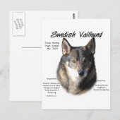 Zweedse Vallhund Geschiedenis Briefkaart (Voorkant / Achterkant)